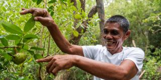 Man pointing to mangrove