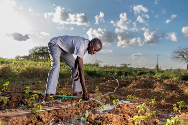 Farmer on field