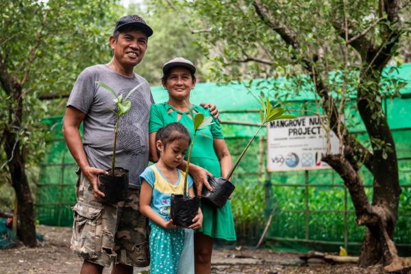 Mangrove planting